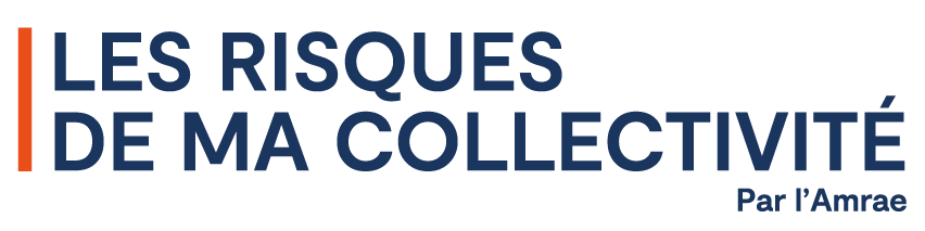 Logo LRMDC