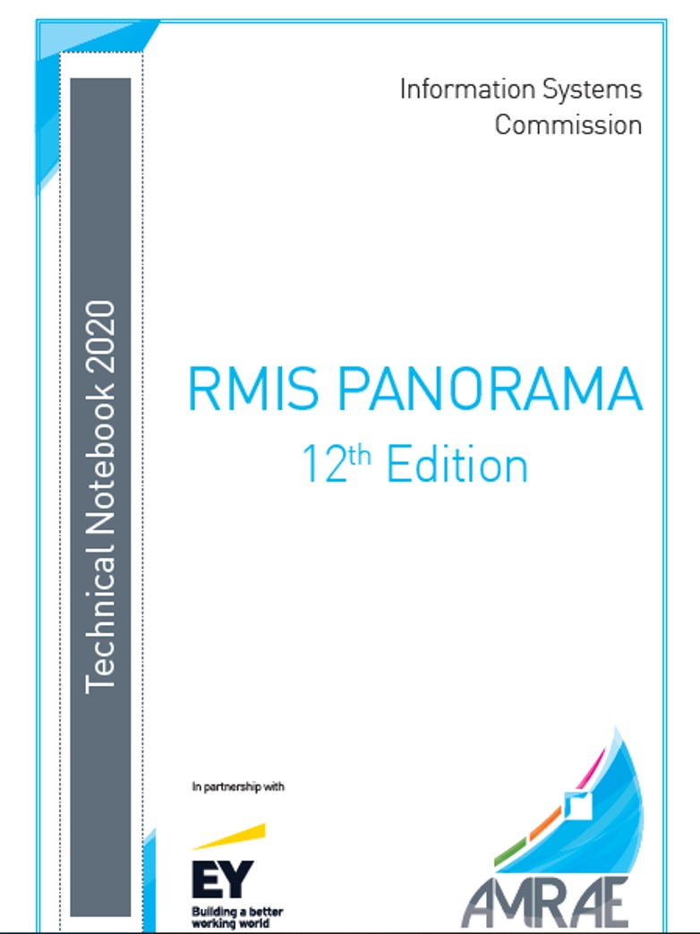 RMIS Panorama 12th Edition - September 2020