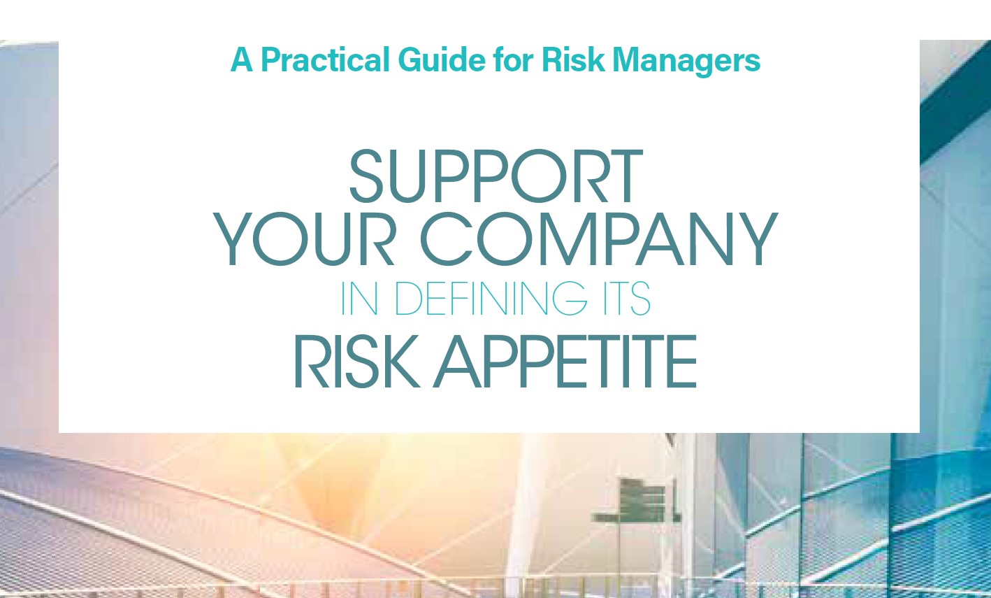 Support your company in defining its RISK APPETITE