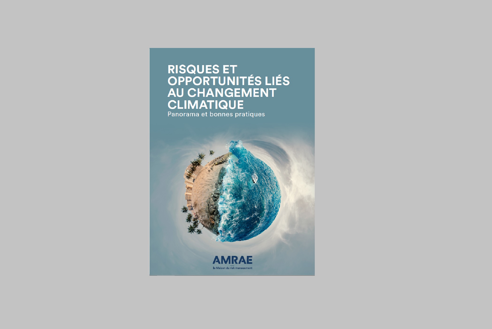 Risques et Opportunités liés au changement climatique :  Panorama et bonnes pratiques