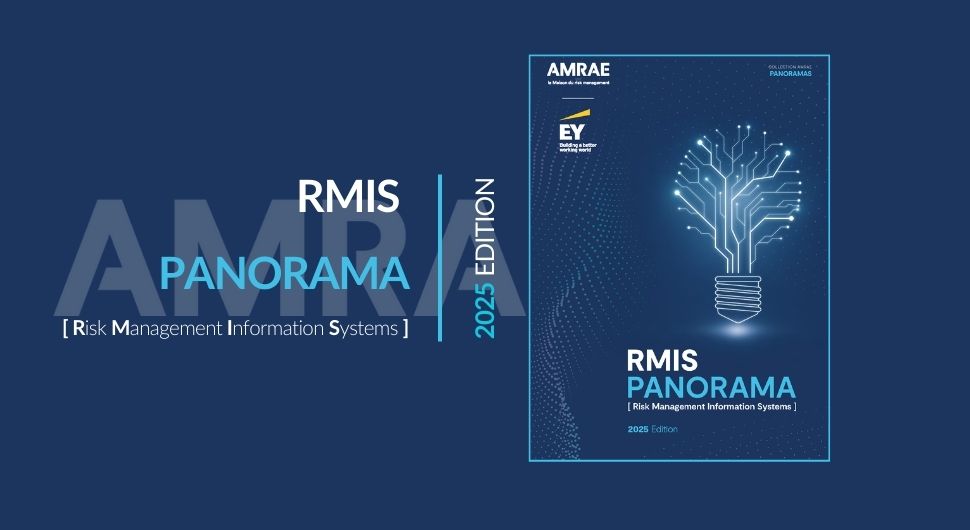 2025 RMIS Panorama