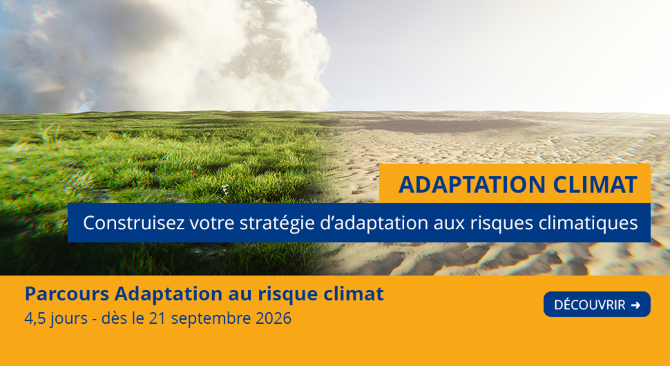 https://formation.amrae.fr/parcours-adaptation-au-risque-climat
