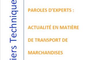 Paroles d'experts : Actualité en matière de transport de marchandises