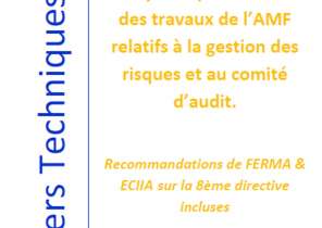 Analyse et présentation des travaux de l'AMF relatifs à la gestion des risques et au comité d'audit