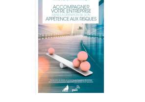 Guide pratique : Accompagner votre entreprise dans la définition de son appétence aux risques