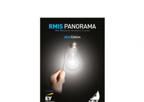 RMIS Panorama 14th Edition - Avril 2022