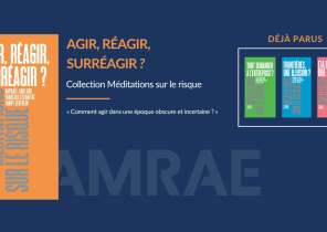Méditations sur le risque Opus 5 - Agir Réagir Suréagir - Juin 2025