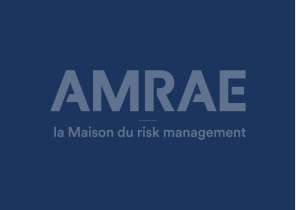 Quels enseignements tirer des 1ères publications des rapports de durabilité