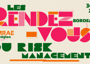 Les Rendez-vous du risk management Amrae en région
