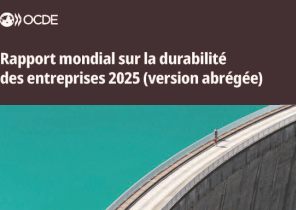 Rapport mondial sur la durabilité des entreprises 2025