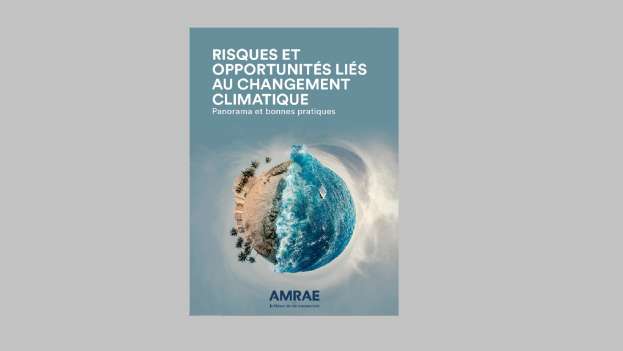 Risques et Opportunités liés au changement climatique : Panorama et bonnes pratiques